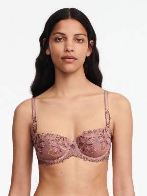 Brown Multicolor Chantelle Champs Elysees Lace Demi Women Unlined Bra | EOX4594MU