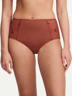 Brown Multicolor Chantelle Every Curve High Waist Women Briefs | SPJ884TH