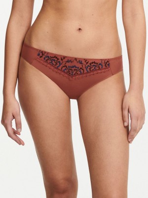 Brown Multicolor Chantelle Every Curve Women Bikini Bottoms | EYR5596FN