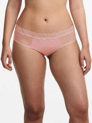 Coral Chantelle Brooklyn Women Hipster Panty | REW7091EV