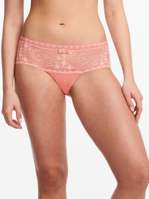 Coral Chantelle Day to Night Women Hipster Panty | QEF1452FM