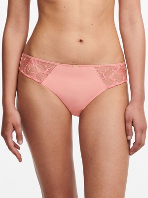 Coral Chantelle Fleurs Women Bikini Bottoms | VPV2913GI