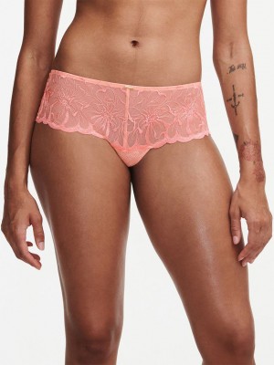 Coral Chantelle Fleurs Women Hipster Panty | URS7899SF