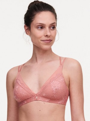 Coral Chantelle Midnight Flowers Wireless Women Bras | PWS736JL