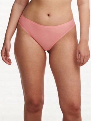 Coral Chantelle SoftStretch Women Thong Panty | MPV1878KU