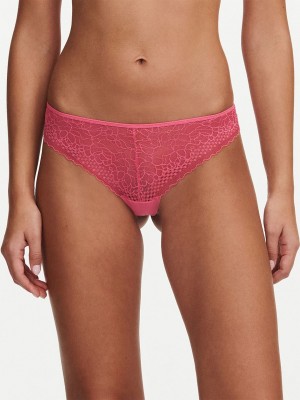 Pink Coral Chantelle Pila Women Thong Panty | NEM1158XE