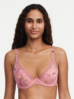 Pink Multicolor Chantelle Suzy Lace Plunge Contour Women Bras | UJS271JJ