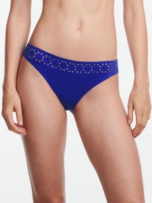 Purple Blue Chantelle Pure Solar Swim Women Bikini Bottoms | TIG8891RO