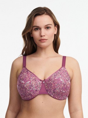 Purple Chantelle C Magnifique Seamless Minimizer Women Unlined Bra | NSU5444DK