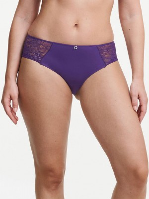 Purple Chantelle Naya Lace Women Hipster Panty | VEI6424DK