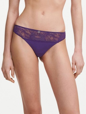 Purple Chantelle Naya Lace Women Thong Panty | AXF543GX