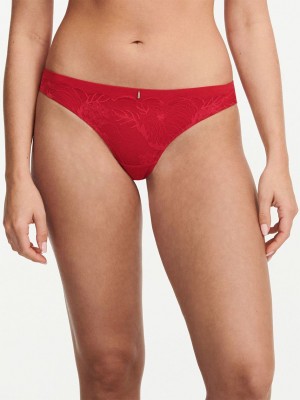 Red Chantelle Midnight Flowers Women Thong Panty | DUN6213XM