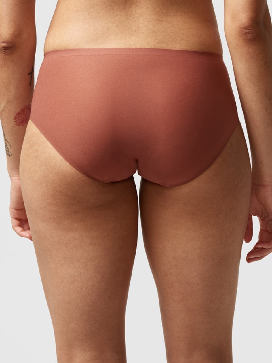 Brown Chantelle SoftStretch Women Hipster Panty | HFE1072FM