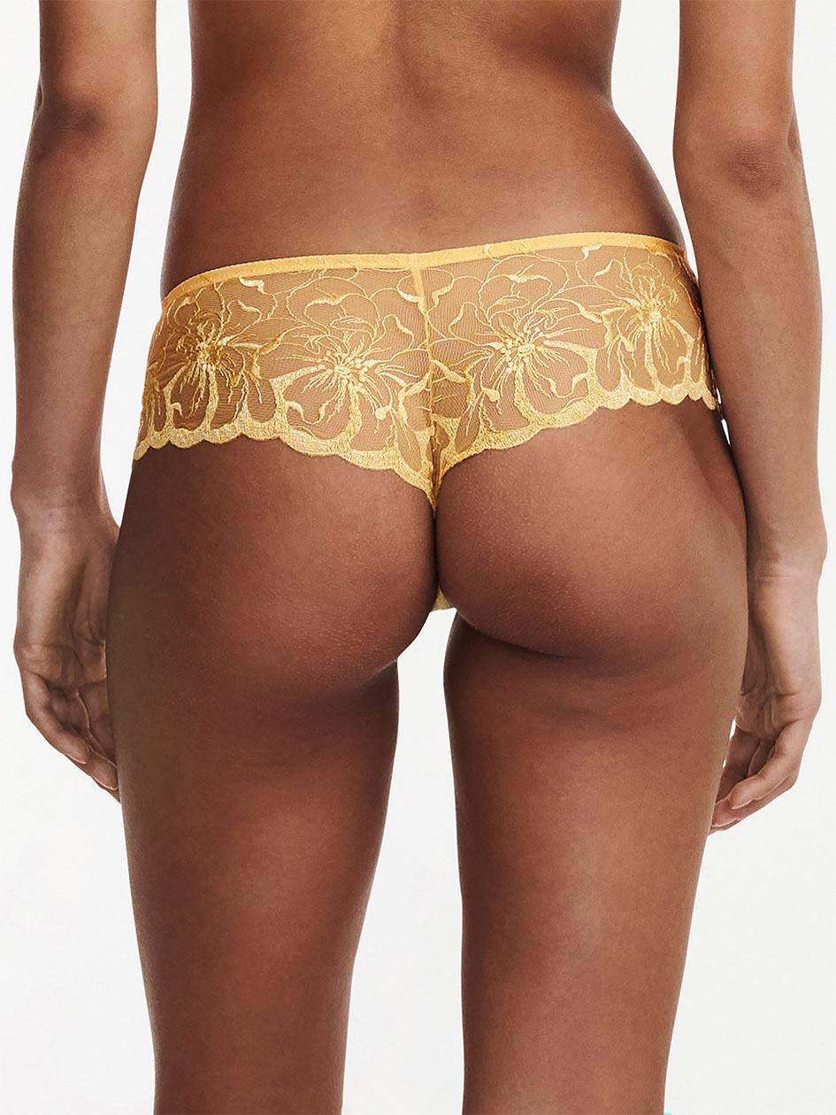 Yellow Chantelle Fleurs Women Hipster Panty | LAR876AL